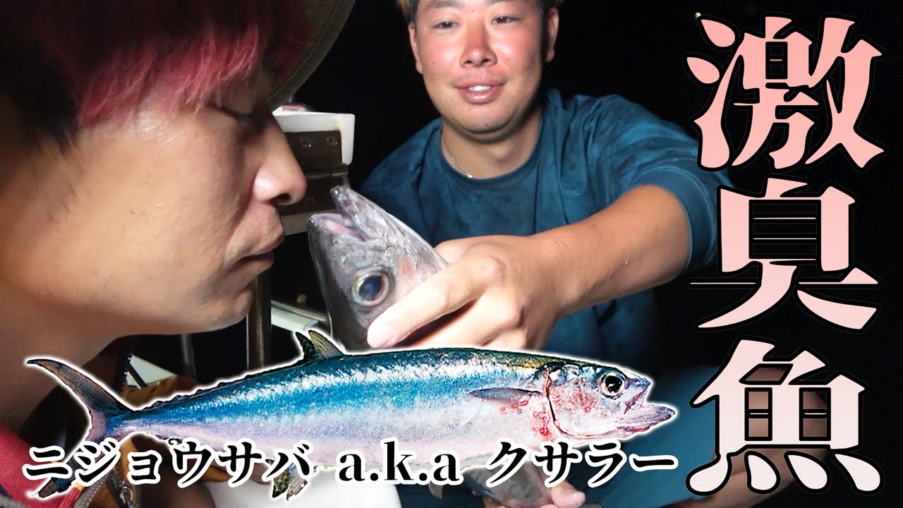沖縄最も臭い腐った魚(クサラー)を捌いて刺身で食べてみた - YouTube