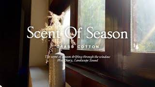 картинка: Аромат времени года, вдыхаемый через окно l GRASS COTTON+