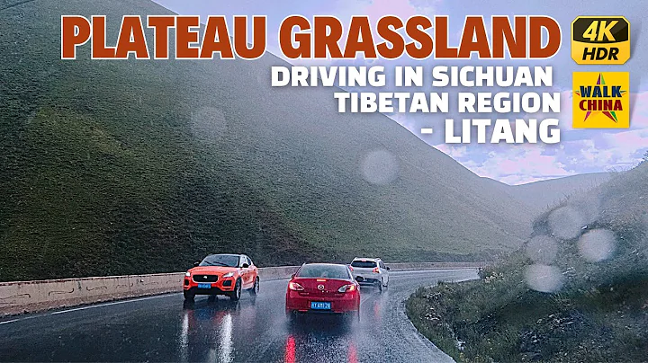 Driving on Plateau Grasslands through the Rain in West China - Litang, Sichuan - DayDayNews