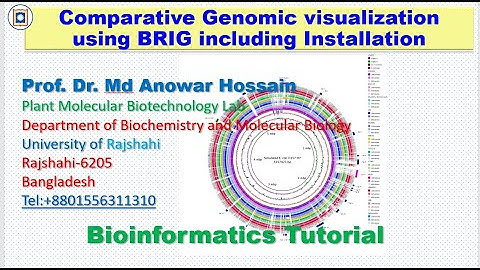 Tutorial No 4. BRIG-BLAST Ring Image Generator: Comparative Bacterial Genome Visualization