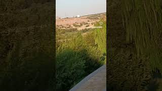 29 Ağustos 2025