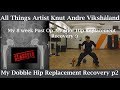 Hip Replacement Recovery p2 - 8 Weeks Rebuilding Strength - All Things Artist Knut Andre Vikshåland
