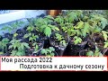 Рассада 2022 подготовка к дачному сезону, моя рассада и подготовка к даче. #дача2022 #дача #огород