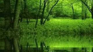 Video thumbnail of "Richard Clayderman - Dolannes Melody.flv"