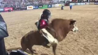 PBR Bullfighter Cody Webster Saves Mike Lee Profile