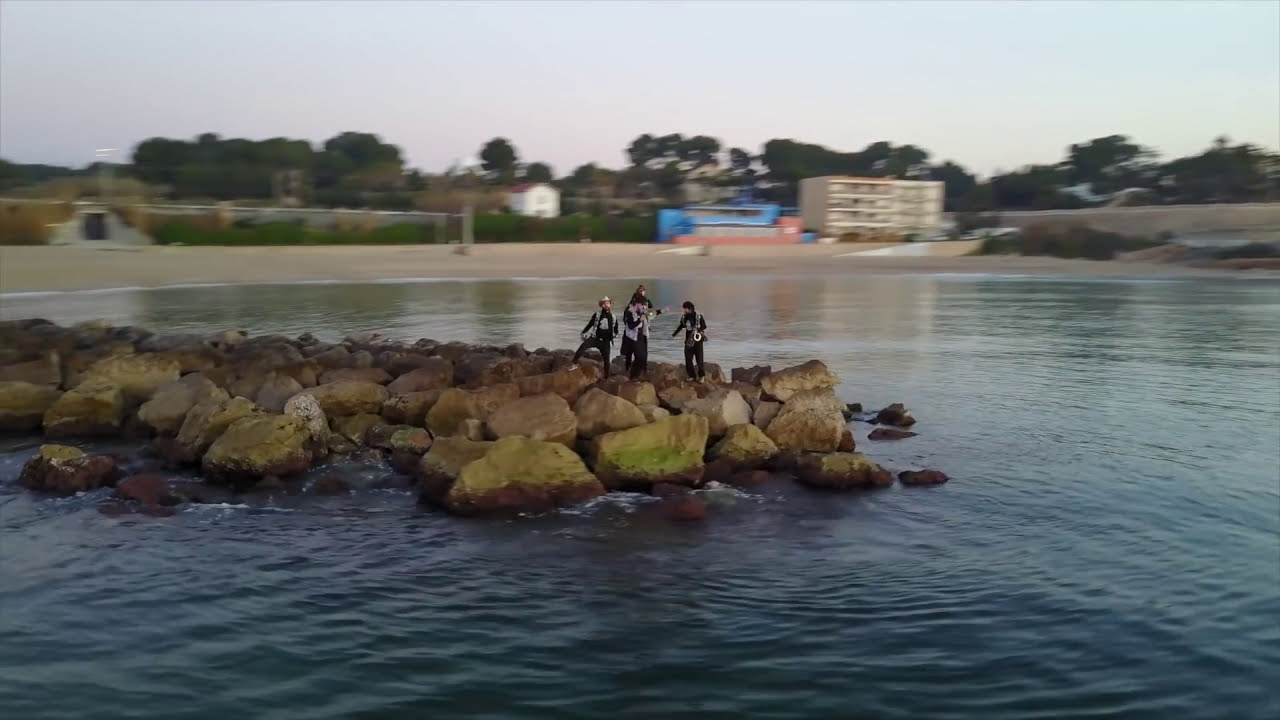 ZeBRASS - Electro Turuta