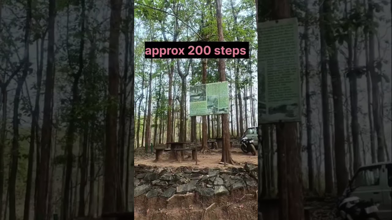 syntheri Rocks 🪨 DANDELI 📍