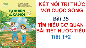 Tự nhiên và xã hội lớp 2 | Bài 25 Tìm hiểu cơ quan bài tiết nước tiểu | Kết nối tri| 10 Phút Học Bài