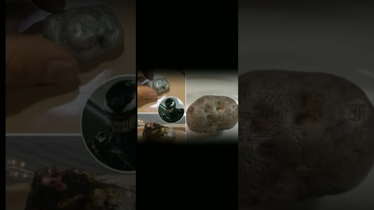 Real life venom before gta 6 😱‼ 