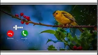 Cute SMS Ringtone 2021 | Best Notification Tone | iPhone Ringtone | New SMS Tune | Sad Tone #songHub screenshot 5