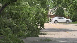 Storm debris cleanup continues in North Texas