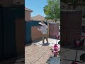 Spray painting a back yard wall in phoenix