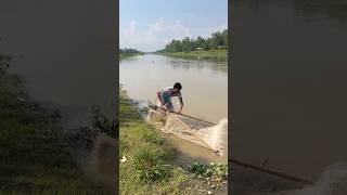 Fish Caught Instantly with a Push Net in Flood Water