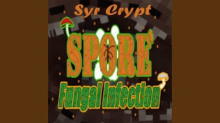 Download Lagu Erderschütterer