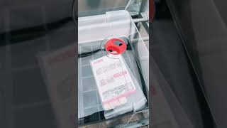 Our Deluxe Seed Starting Kit Has Everything You Need To Start Seeds Strong And On Time.