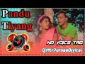 Pandutiyangnovoicetagdjsongsanthaliorchestradj arvind st2024 dj mahadev dj nunulal