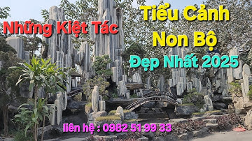 Những Tác Phẩm Tiểu Cảnh - Non Bộ - Hồ Cá Koi Đẹp Nhất 2025