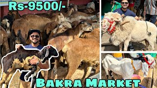 Saidabad bakra Market | 2023 | One day before Eid 🔥🤩