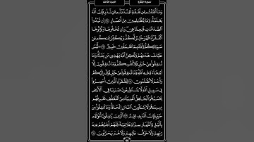الصفحة 45 من سورة البقرة - ماهر المعيقلي .🤍🌿1 #القرآن #المصحف #ترتيل #تكرار #حفظ