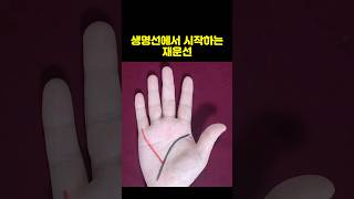 자신의 노력으로 큰 재물을 얻는 자수성가 손금 #재물운 #성공운