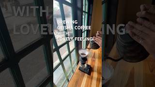 Brewing geisha coffee using Hrio switch double immersion #brewer #coffee #brewing #coffeelover #kopi
