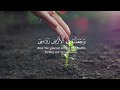 راحة نفسية مع أجمل تلاوات الشيخ ياسر الدوسري | وجعلنا من الماء كل شيء حي