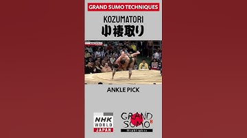 #Sumo Technique: KOZUMATORI
