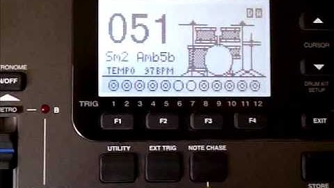 Alesis DM 10 Module with Blue Jay