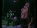 Bob marley  the wailers crazy baldhead