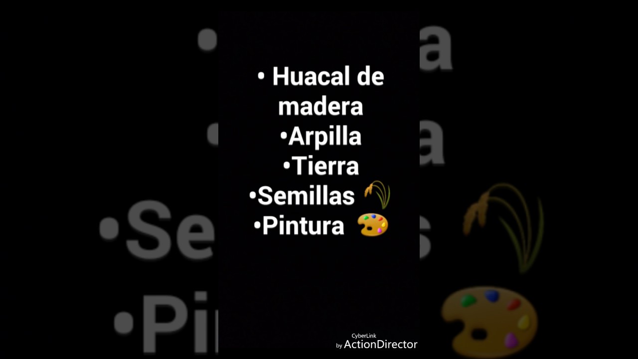 Micro invernadero. Lizbethmf