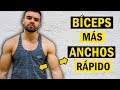 Cómo Hacer Que Tus Bíceps Se Vean Más Anchos (Y Masculinos)