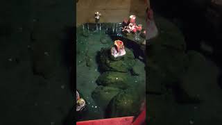 Feel D View Of Atri Hot Spring Water......watch Closely To Look D Vapour Odisha