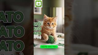 🐾 ANIMALES en ESPERANTO en 30 segundos | Esperanto desde cero #esperanto #aprendeesperanto #clases