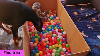 20 Tricks with balls by Sarah Wood 7 views 1 month ago 6 minutes, 1 second