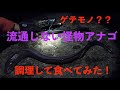 【流通しない魚を食う】ゲテモノ料理！？釣った海のアナコンダクロアナゴを食す！
