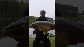 Dajcie znać ile mógł mieć kilogramów #fishing #karp #carpfishing #carp #fish #method