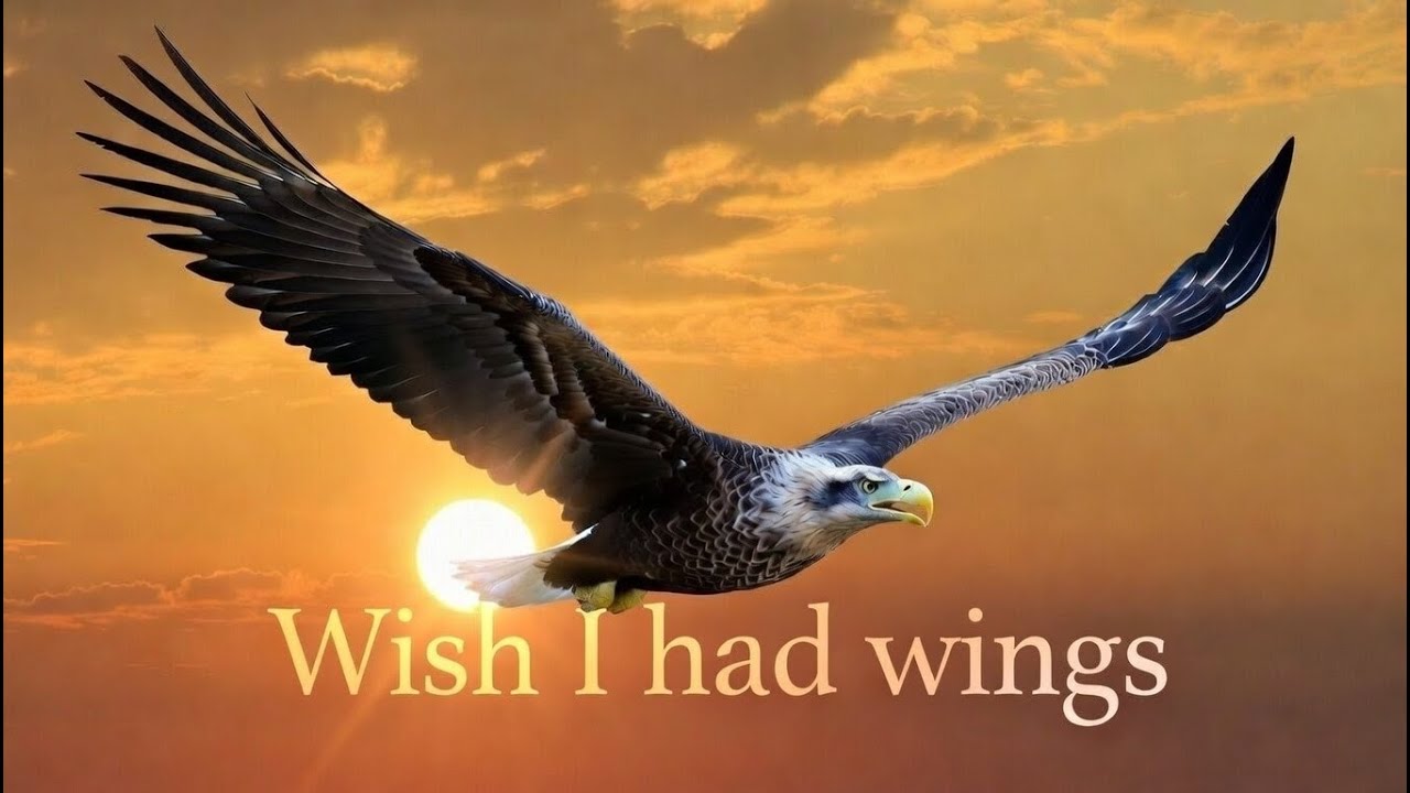 Wish I Had Wings (Original Song | Emotional Indie Music)