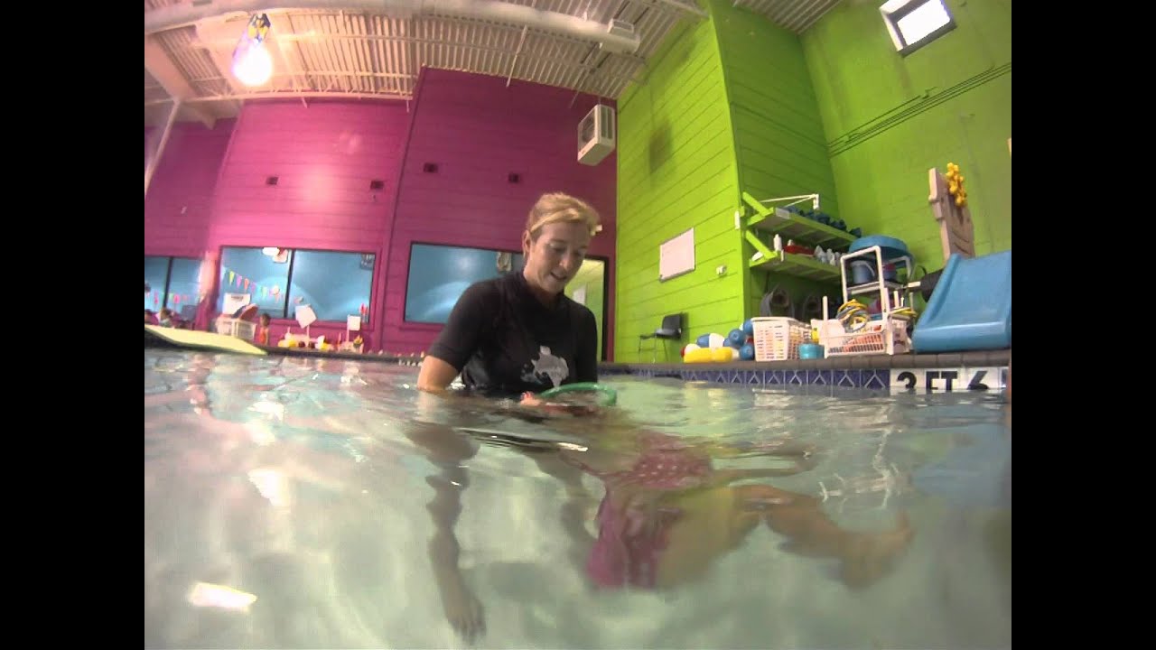 Bailey the ring snatcher