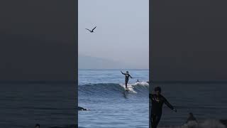 9.75 JJ Wessels Pivot [CAPTAIN FIN] |沖縄サーフィンショップ「YES