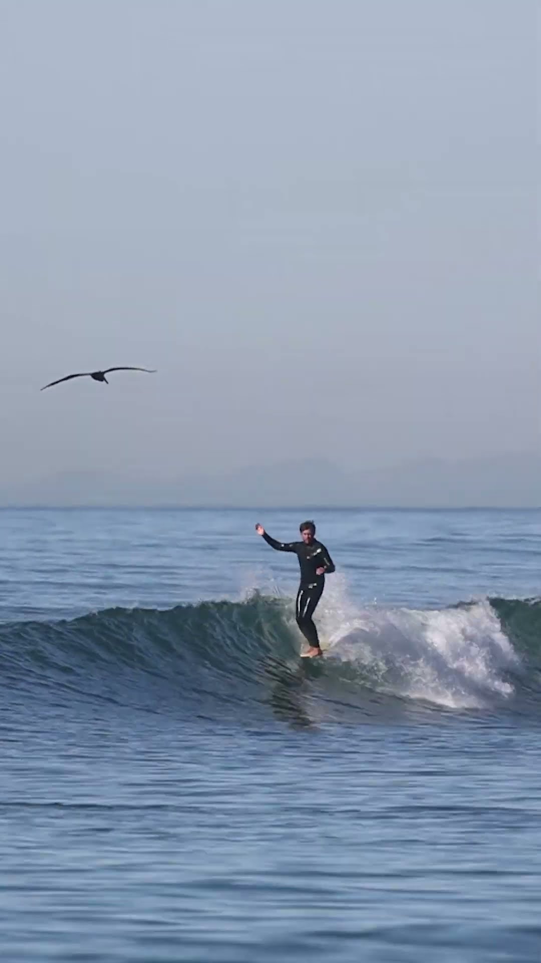 JJ Wessels Pivot + Pivot Mod fins - YouTube