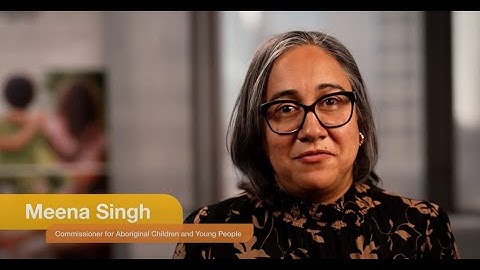 Section 1: Introduction to the Reportable Conduct Scheme