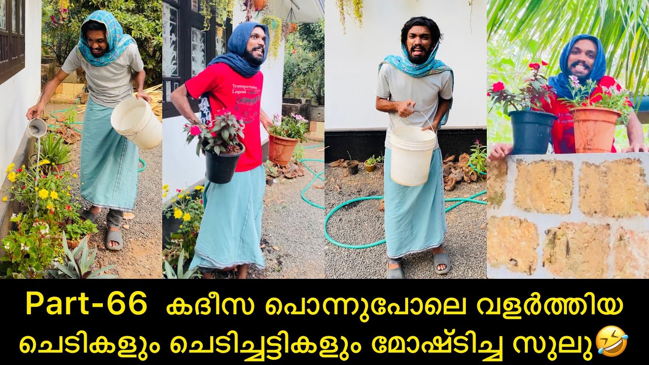 Part-66  കദീസ പൊന്നുപോലെ വളർത്തിയ ചെടികളും ചെടിച്ചട്ടികളും മോഷ്ടിച്ച സുലു😂