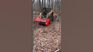 Skid Steer Attachment: Forestry Mulcher