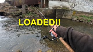 SMALL STREAM BROOK TROUT FISHING! Loaded