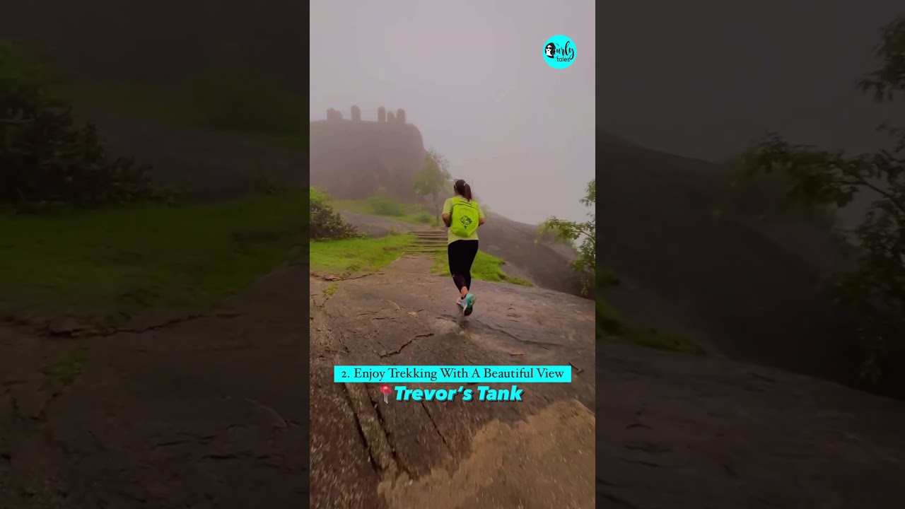 5 Things To Experience In Mount Abu | Curly Tales 