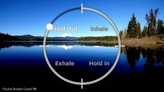 Calming Box Breathing Exercise