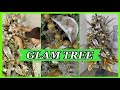 GLAM CHRISTMAS TREE THEME /  How To Decorate A Christmas Tree Step By Step In Silver And Gold