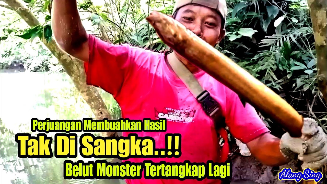 Mancing Belut Monster~Di Luar Nalar Spot Seperti ini Ternyata Ada Belut Monsternya~Big Eel Fishing
