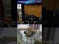 BGMI चा बदला ETS मध्ये घेतो..लय कडु आहे मी #shorts #trending #youtubeshorts #ets2
