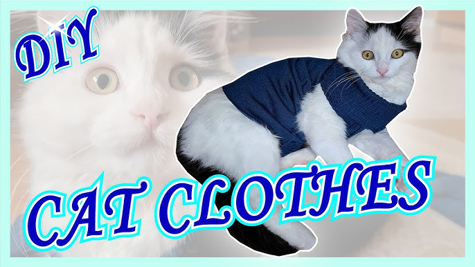 Cat dress IDEAS - DIY  Cat clothes IDEAS! - Underwear to Cat Clothes 